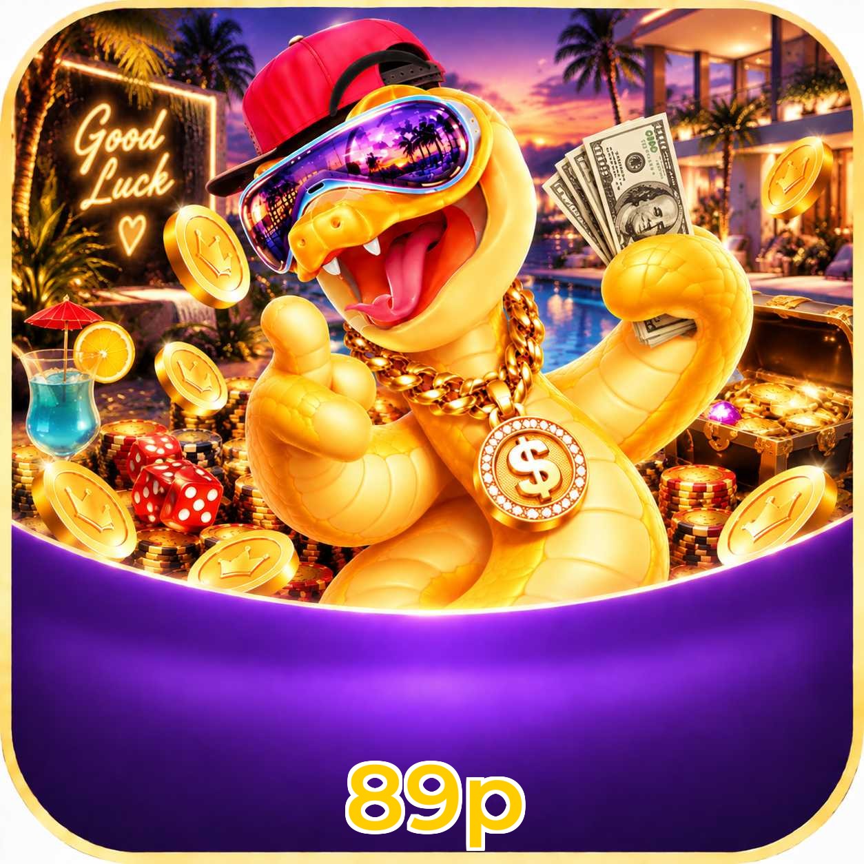 89p System Requirements